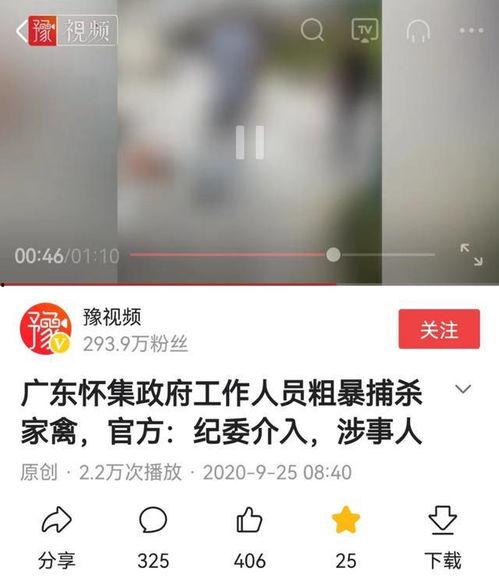 爆料鸡的视频在线观看,视频内容深度解析  第3张